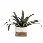 Vaso Bicolor - Imagem 5