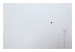 Decore seu ambiente com a fotografia Liberdade