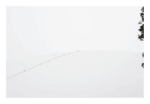Charme para o ambiente com a Fotografia Linha