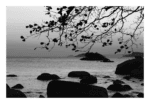 Coloque a fotografia Meditação na sua parede