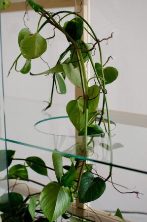 Estante Simbiose - Imagem 3