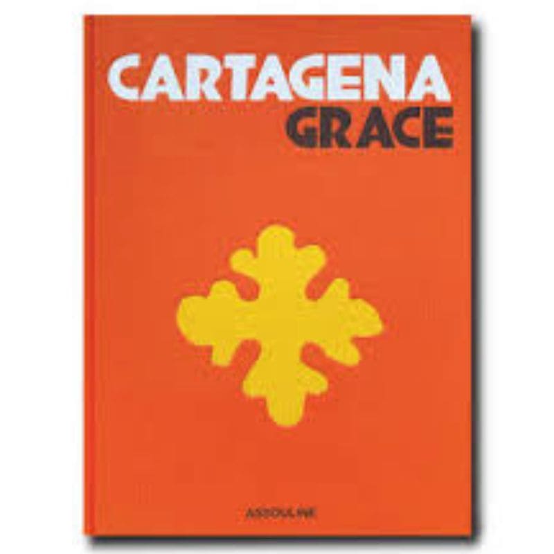 cartagena grace 8715 1 e14264b7fa509c73c5e8178df83a0a4b 1 deezign