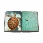 Livro JAMAICA VIBES - Imagem 3