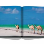 Livro RED SEA - THE SAUDI COAST - Imagem 4
