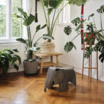 Assento Elephant Eames Madeira compensado - Imagem 7