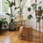 Assento Elephant Eames Madeira compensado - Imagem 8