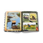 Livro African Adventures - Imagem 4