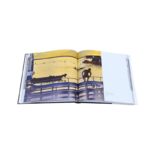 Livro AMAZONAS - Imagem 4
