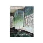 Livro Andre Griffo