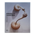 Livro ANGELO VENOSA ESCULTOR
