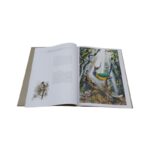 Livro AVES. AQUARELAS DE TOMAS SIGRIST - Imagem 3