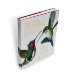 Livro BEIJA-FLORES DO BRASIL - Imagem 2