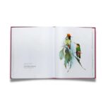 Livro BEIJA-FLORES DO BRASIL - Imagem 4
