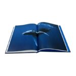Livro BRASIL, UMA HISTORIA DO AMANHA: OCEANO - Imagem 4