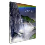 Livro BRASIL - VERTICAL