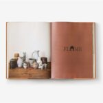 Livro Earth  Fire - Imagem 4