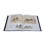 Livro ENDER E O BRASIL: OBRA COMPLETA (1817-1818) - Imagem 4