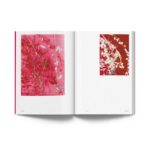 Livro Luiz Zerbini - Botanica, Monotypes 2016-2020 - Imagem 3