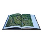 Livro MANGUEZAL - Imagem 4