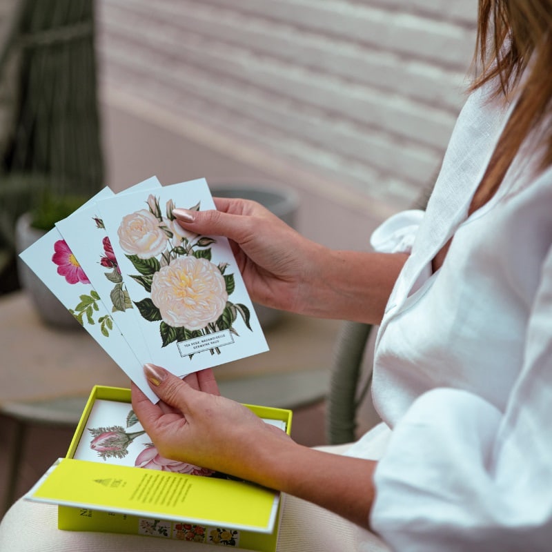 roses 100 postcards from the archives of the new york botanical garden 7099 4 994540a6c03e57b2510dffe2bd8de497 4 deezign