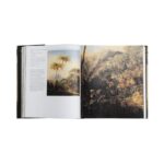 Livro RUGENDAS E O BRASIL - Imagem 4
