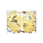 Livro The Big Book Of Birds: 0 - Imagem 3