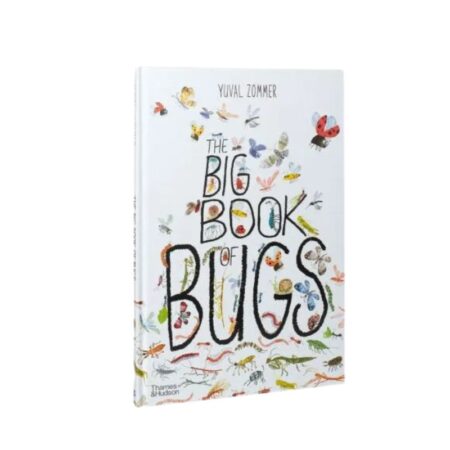 the big book of bugs 0 10389 1 5d55c2d3a9a9e5bc6a707cd31f570c93 13 deezign