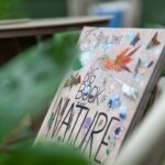 Livro The Big Book Of Bugs, 0 - Imagem 4
