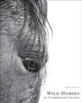 Livro Wild Horses of Cumberland Island: Anouk Masson Krantz
