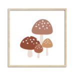 Quadro Cogumelos quadrado