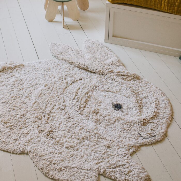 C AR BUNNY 4 scaled 4 deezign