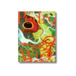 Livro PEDRO WIRZ