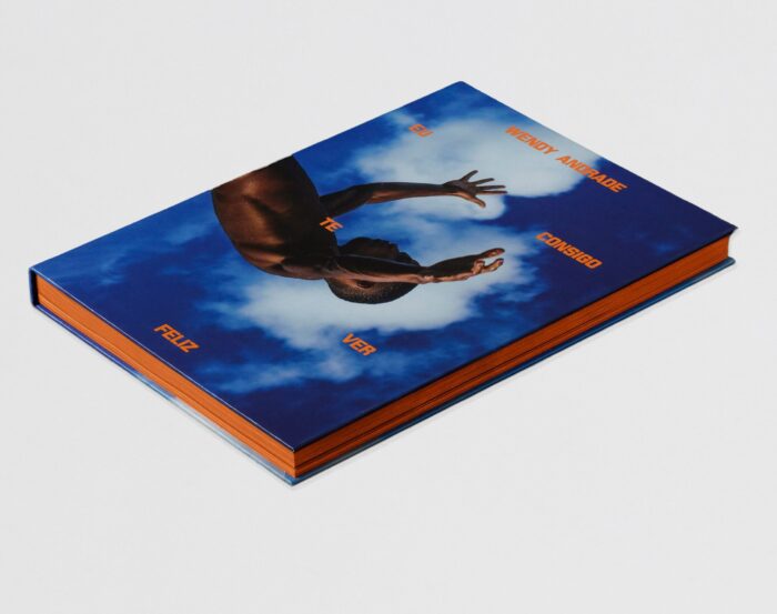 livro wendy andrade eu consigo te ver feliz 3 scaled 1 deezign