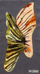 Tapeçaria AFJR080 080