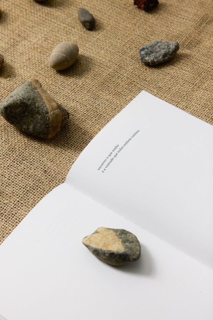 Livro lá, não estaríamos agora – Mariana Tassinari - Imagem 8