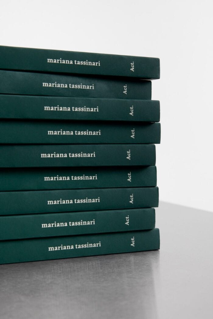 Livro lá, não estaríamos agora – Mariana Tassinari - Imagem 4