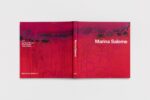 Livro Marina Saleme – quarenta anos de pintura - Imagem 2