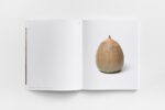 Livro Shoko Suzuki - Imagem 5