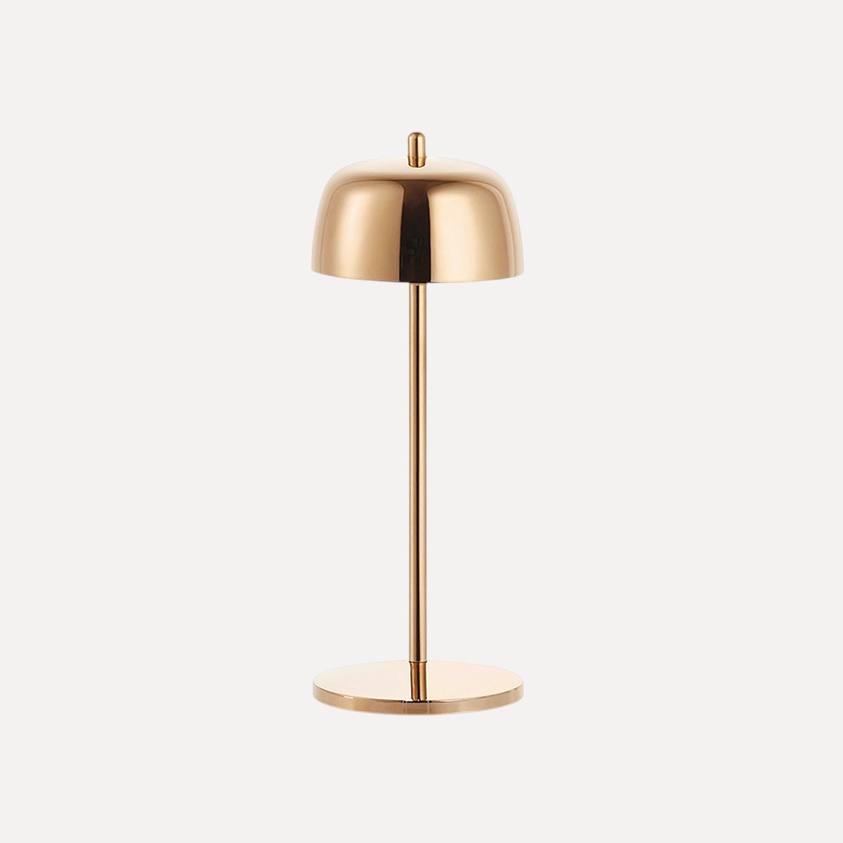 1x1 home zaff design 1 134 deezign