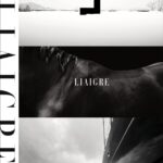 Livro Liaigre: 12 Projects